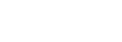 White DS360 Logo (1)
